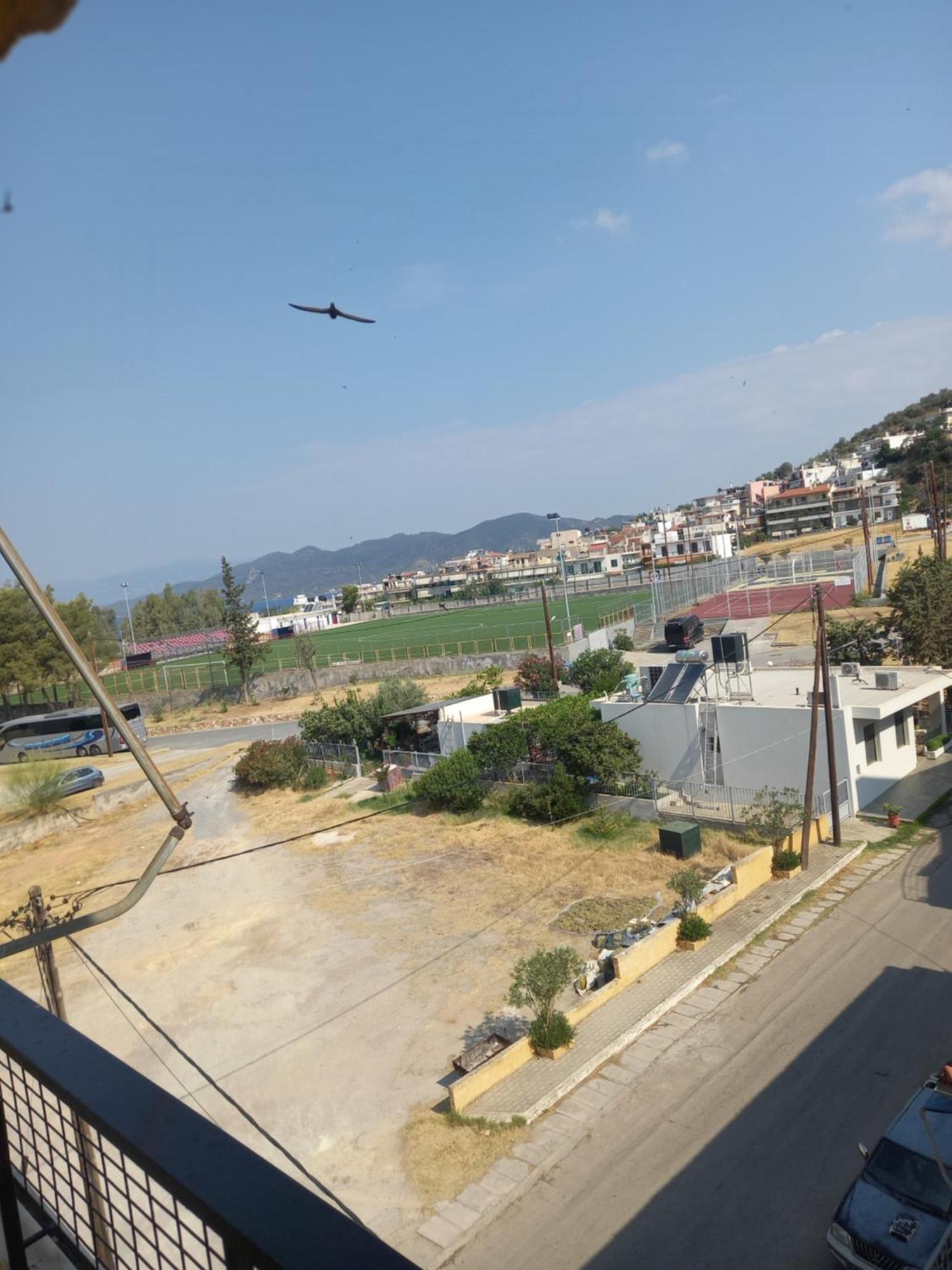 Hotel Tainaro Loutra Edipsou  Dış mekan fotoğraf